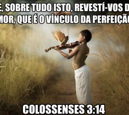 revesti-vos