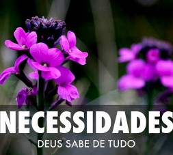 necessidades