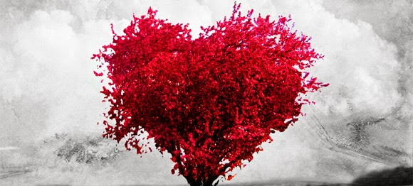 divida do amor